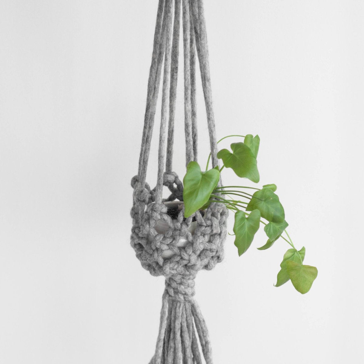 Macramé Basket Plant Hanger (free pattern)