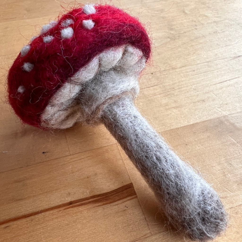 Needle Felting: Mushrooms (Game of Shrooms Prep!) Workshop | Sunday, June 1, 1-3:30pm