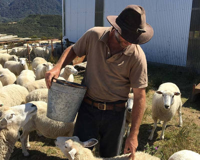 Love Fest Fibers - Natural & recycled fibers to love you up