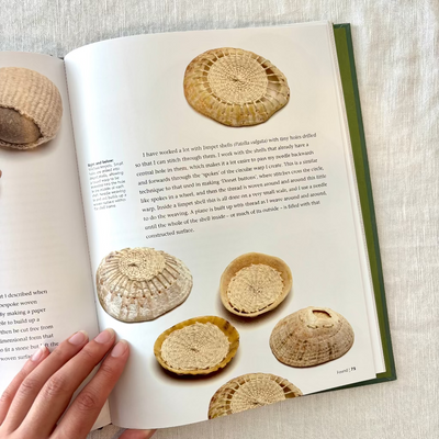 Open book with illustrations of shell-like objects on a textured surface